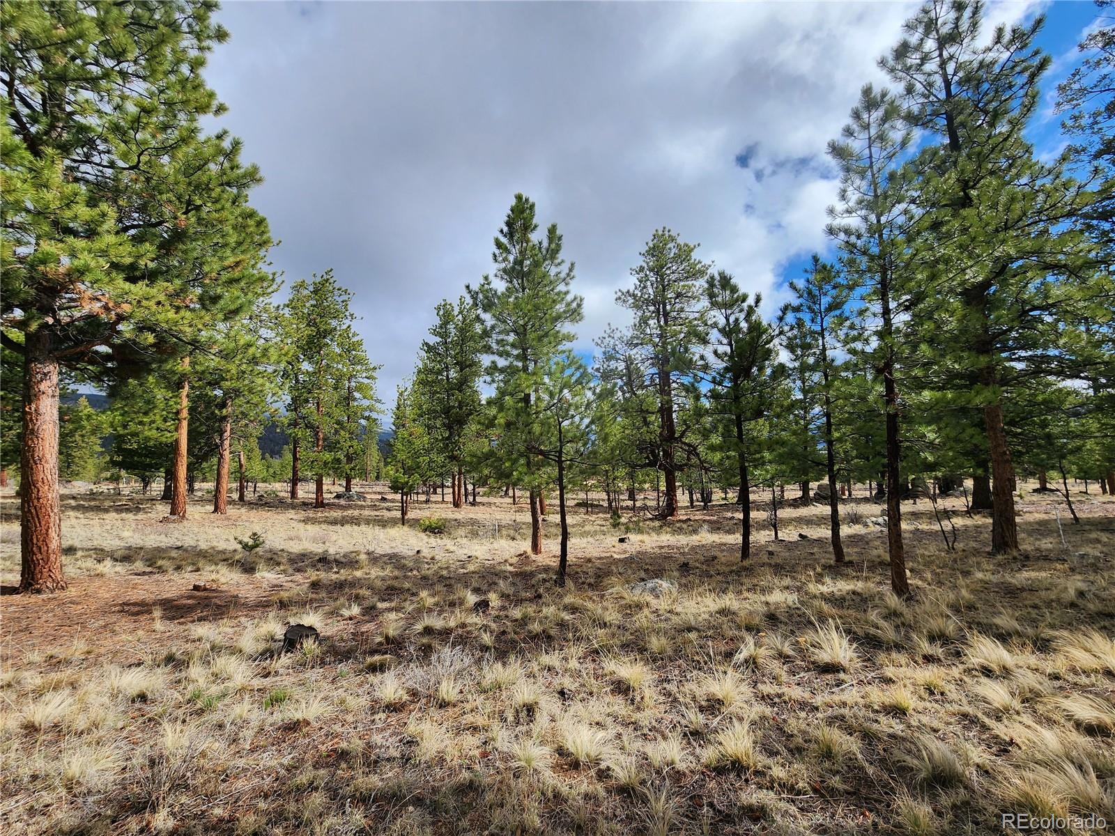 30634 Timberline, Buena Vista, CO 81211, ,Land,For Sale,Timberline,REC5393458