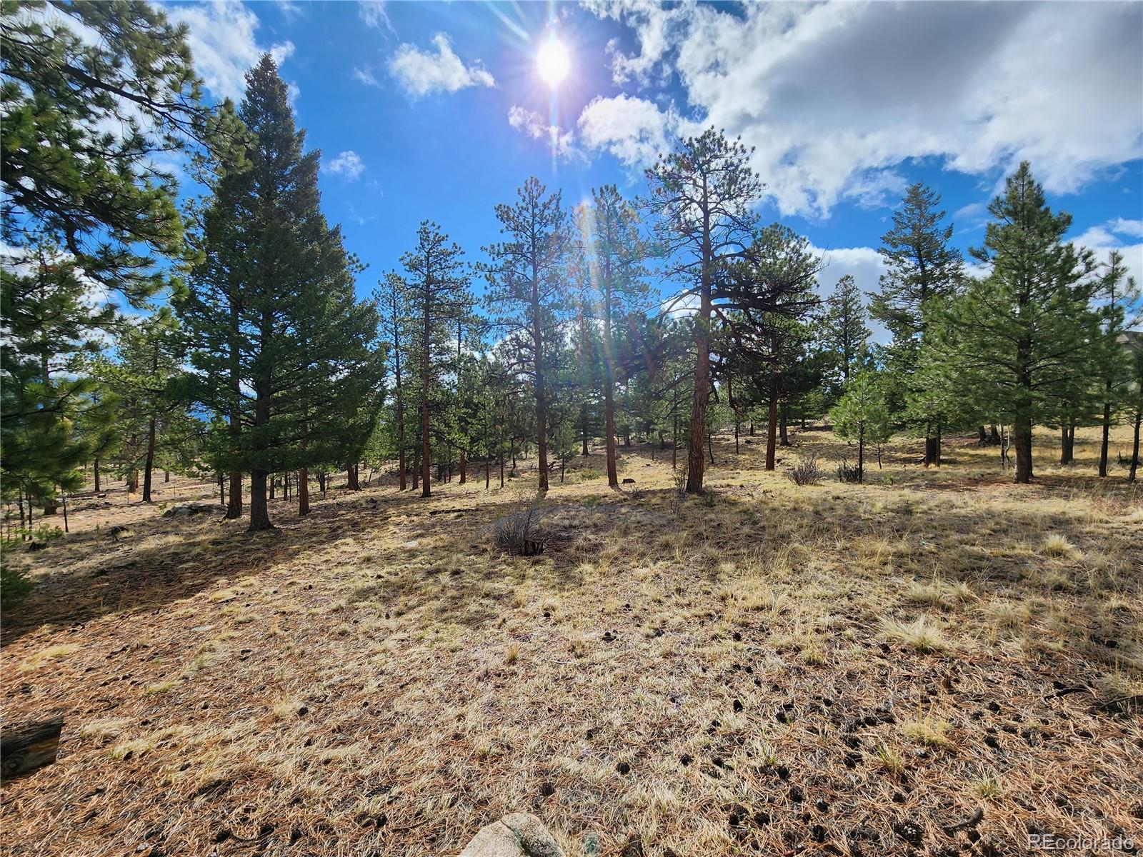 30634 Timberline, Buena Vista, CO 81211, ,Land,For Sale,Timberline,REC5393458