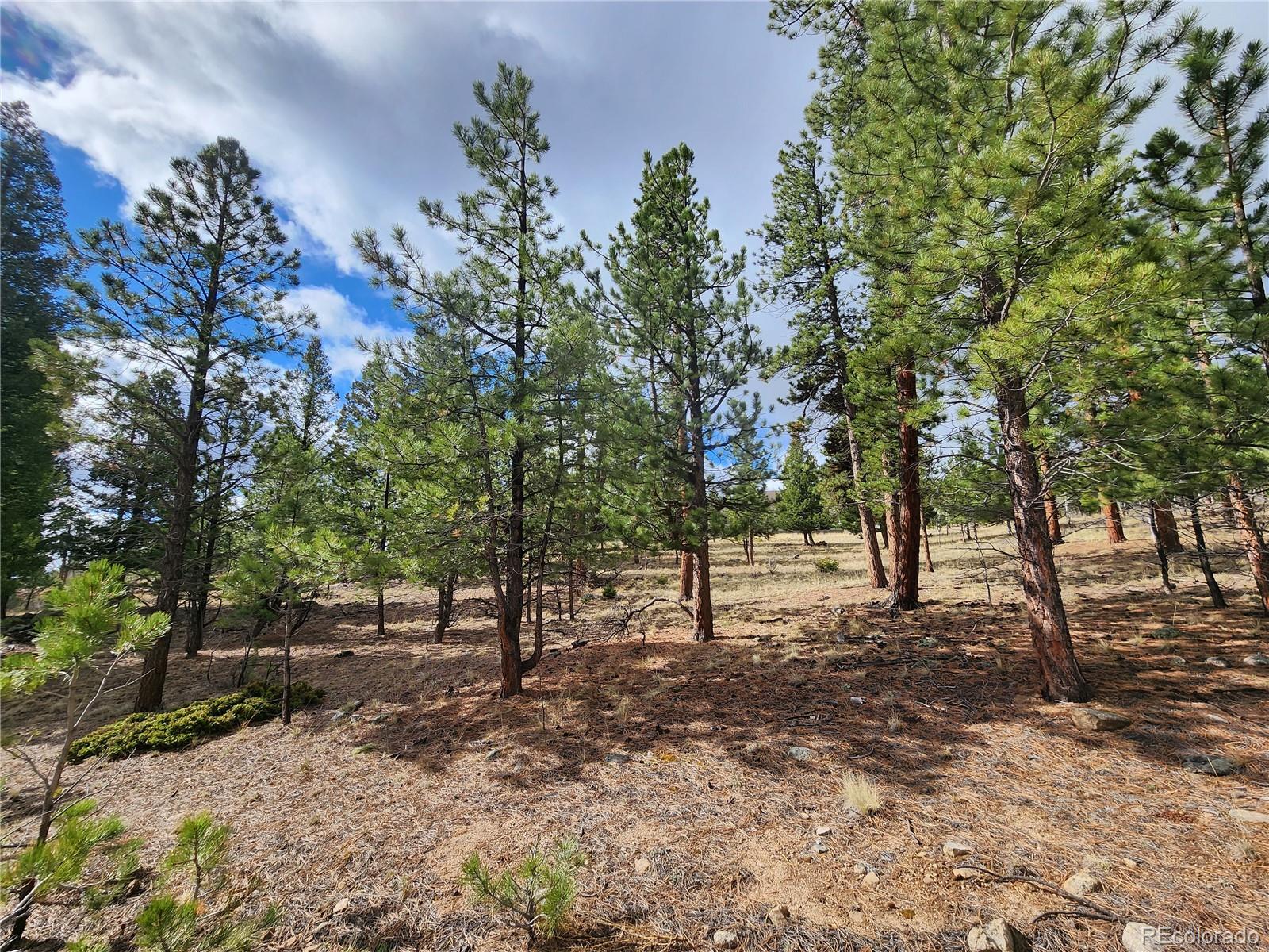 30634 Timberline, Buena Vista, CO 81211, ,Land,For Sale,Timberline,REC5393458