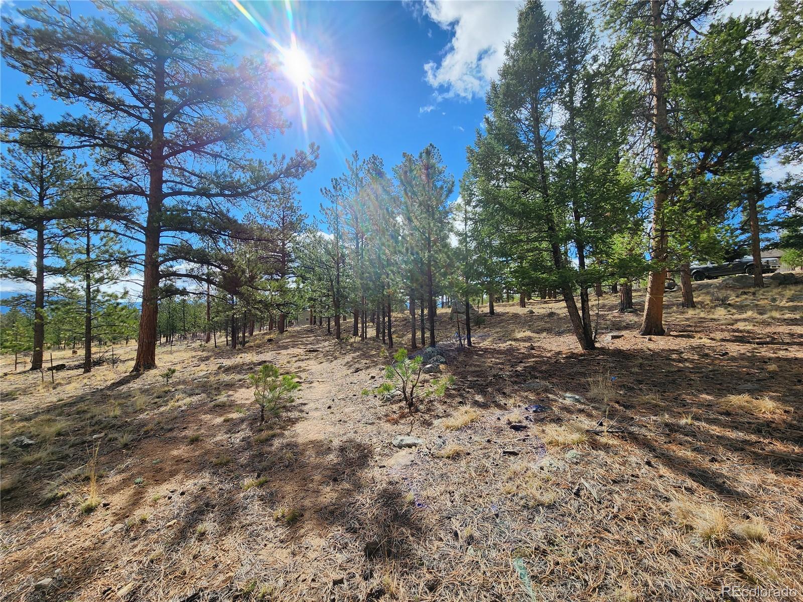 30634 Timberline, Buena Vista, CO 81211, ,Land,For Sale,Timberline,REC5393458