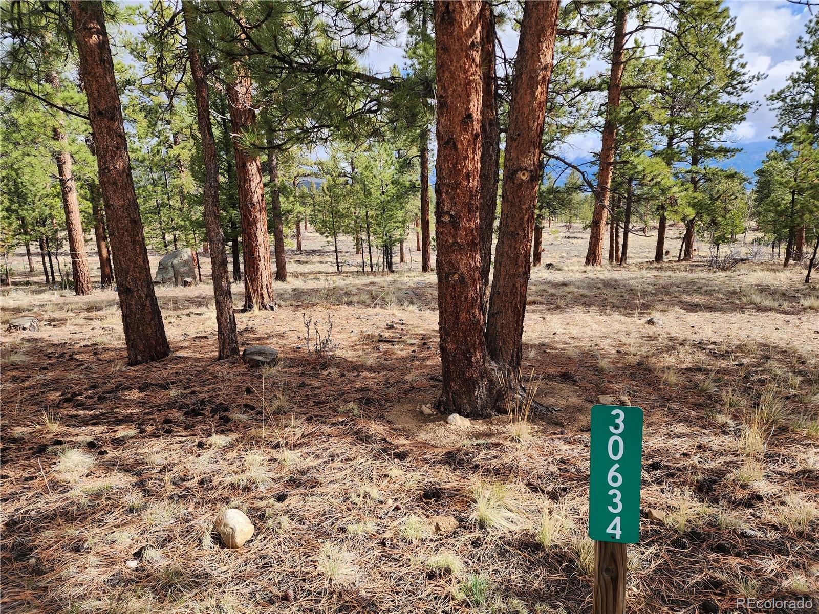 30634 Timberline, Buena Vista, CO 81211, ,Land,For Sale,Timberline,REC5393458