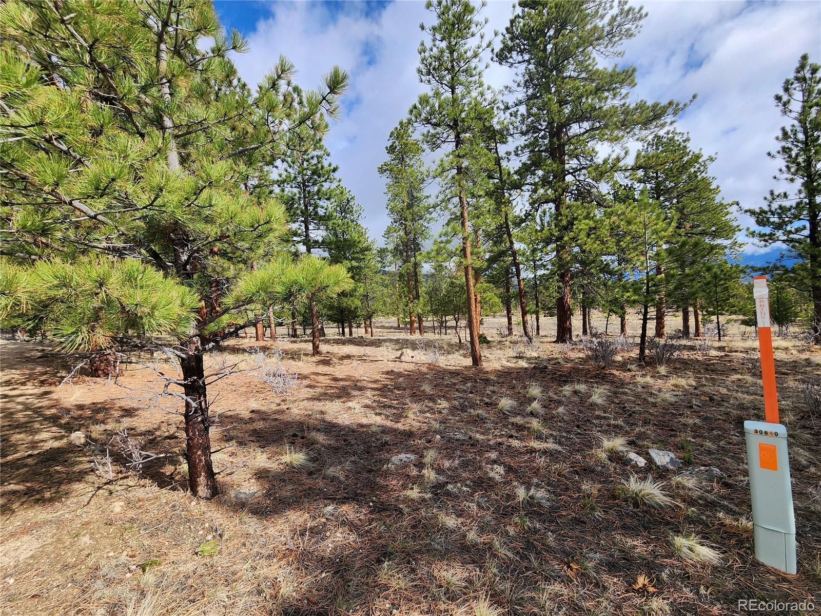 30634 Timberline, Buena Vista, CO 81211, ,Land,For Sale,Timberline,REC5393458