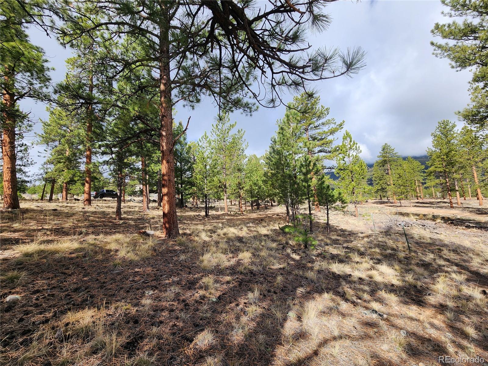 30634 Timberline, Buena Vista, CO 81211, ,Land,For Sale,Timberline,REC5393458