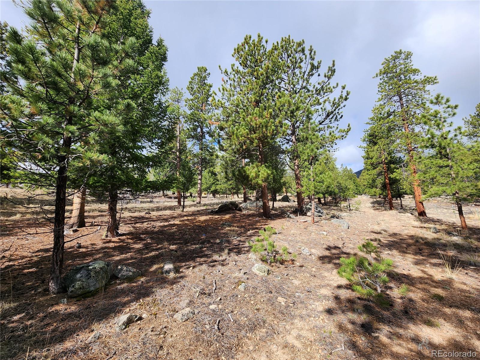 30634 Timberline, Buena Vista, CO 81211, ,Land,For Sale,Timberline,REC5393458