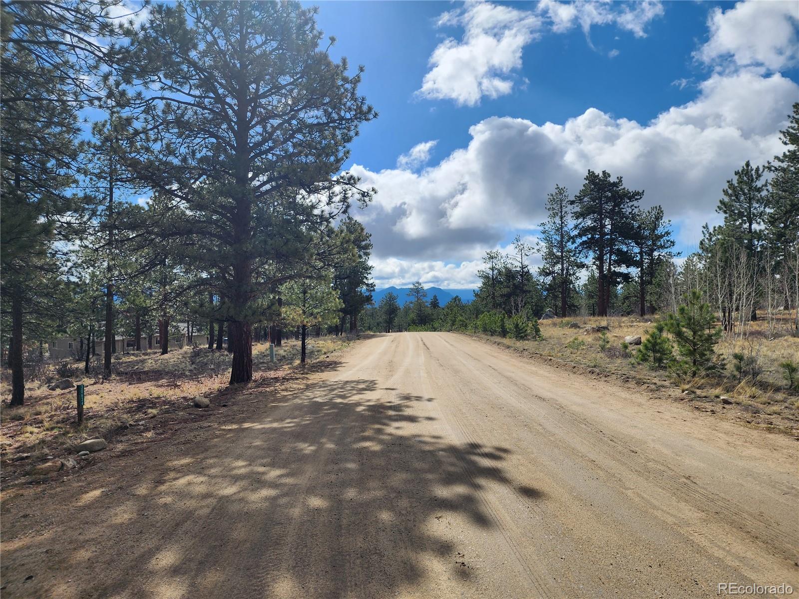 30634 Timberline, Buena Vista, CO 81211, ,Land,For Sale,Timberline,REC5393458