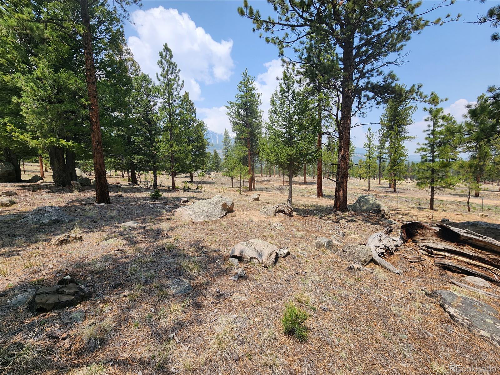 30634 Timberline, Buena Vista, CO 81211, ,Land,For Sale,Timberline,REC5393458
