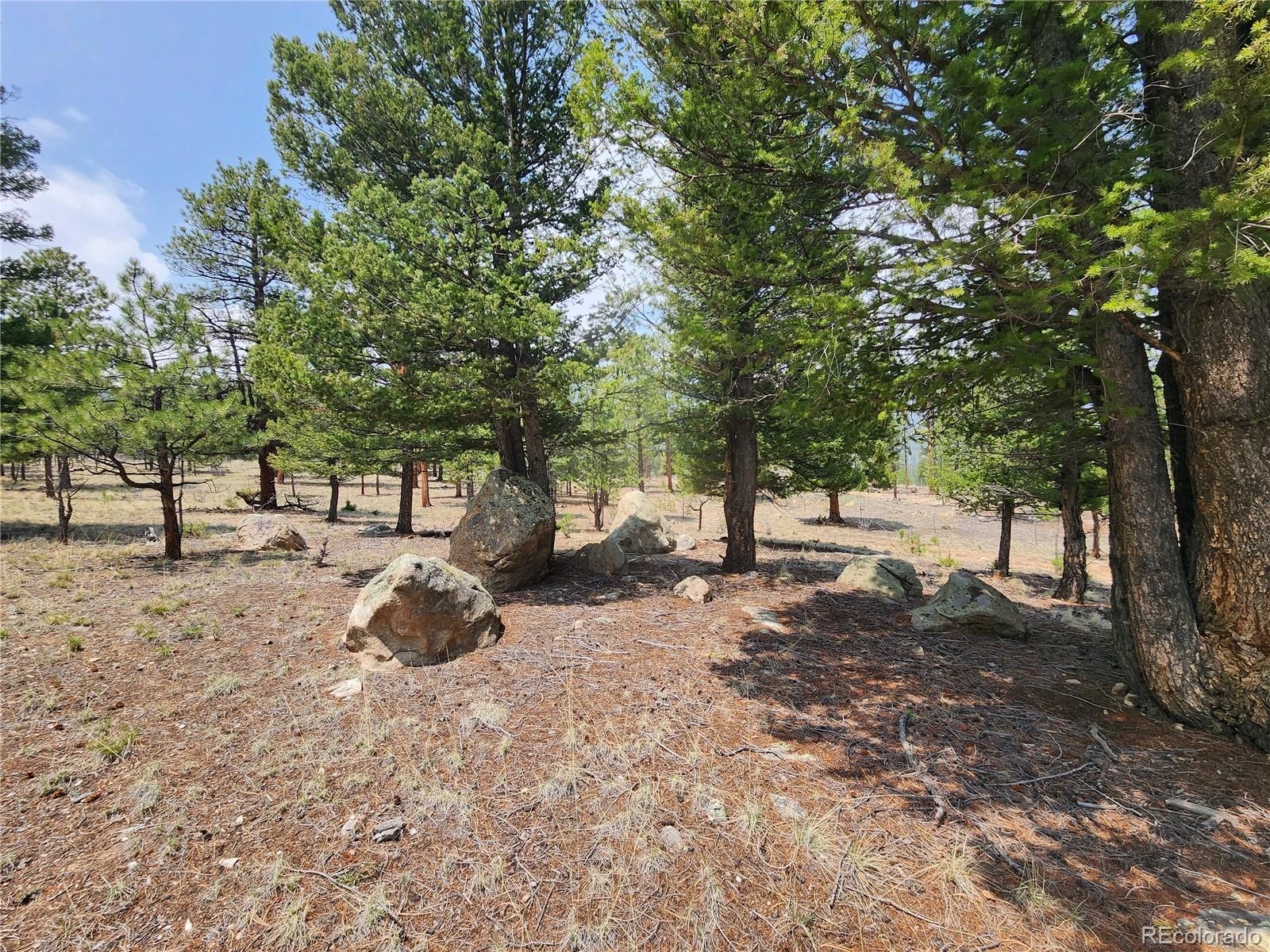 30634 Timberline, Buena Vista, CO 81211, ,Land,For Sale,Timberline,REC5393458