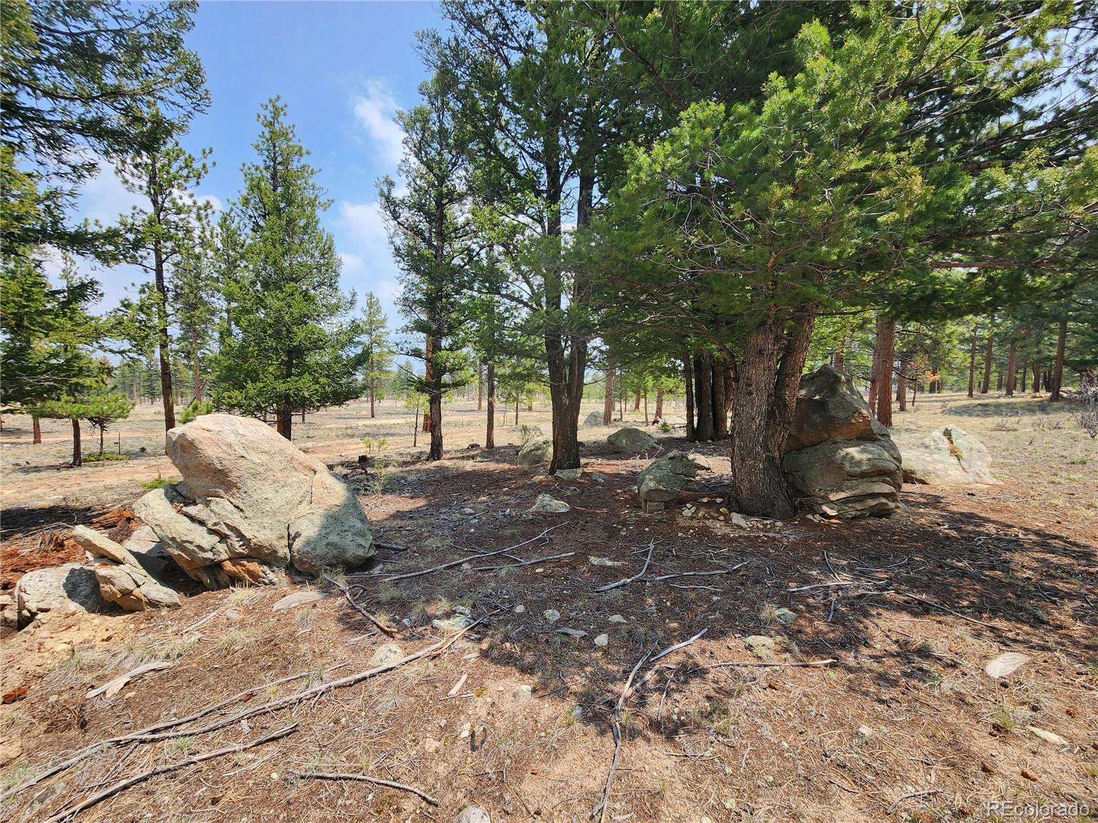 30634 Timberline, Buena Vista, CO 81211, ,Land,For Sale,Timberline,REC5393458