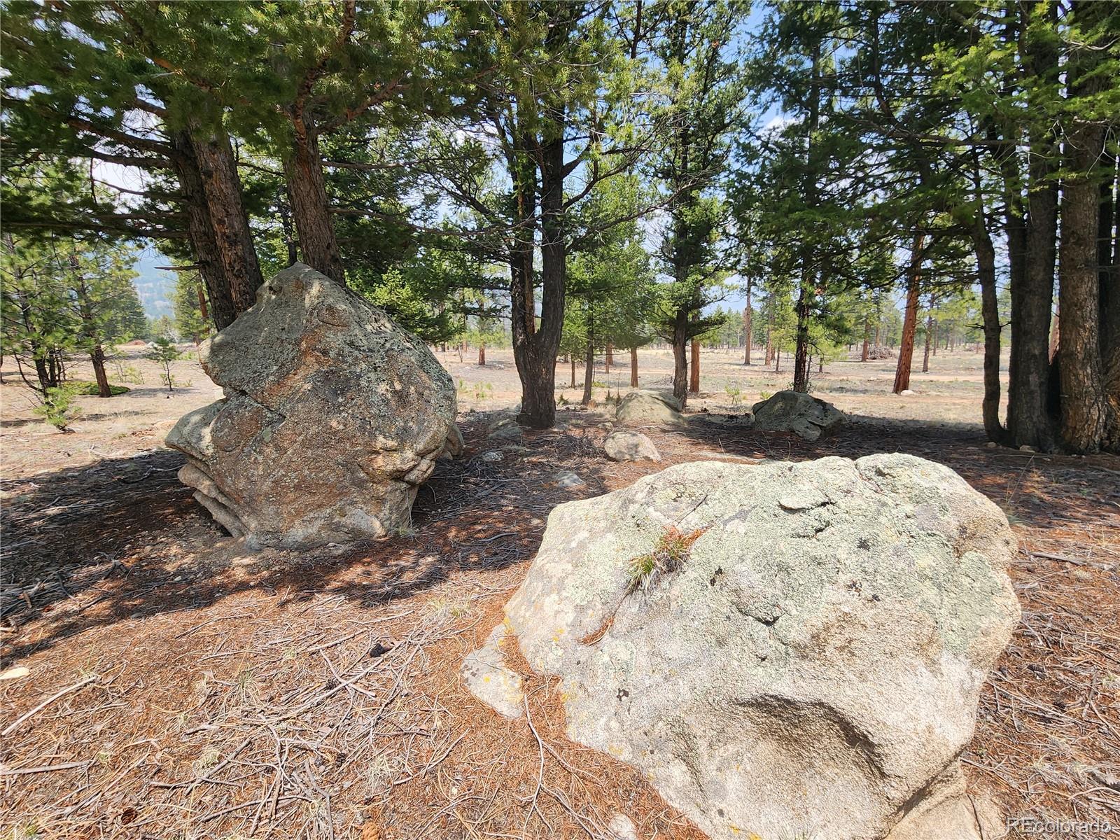 30634 Timberline, Buena Vista, CO 81211, ,Land,For Sale,Timberline,REC5393458