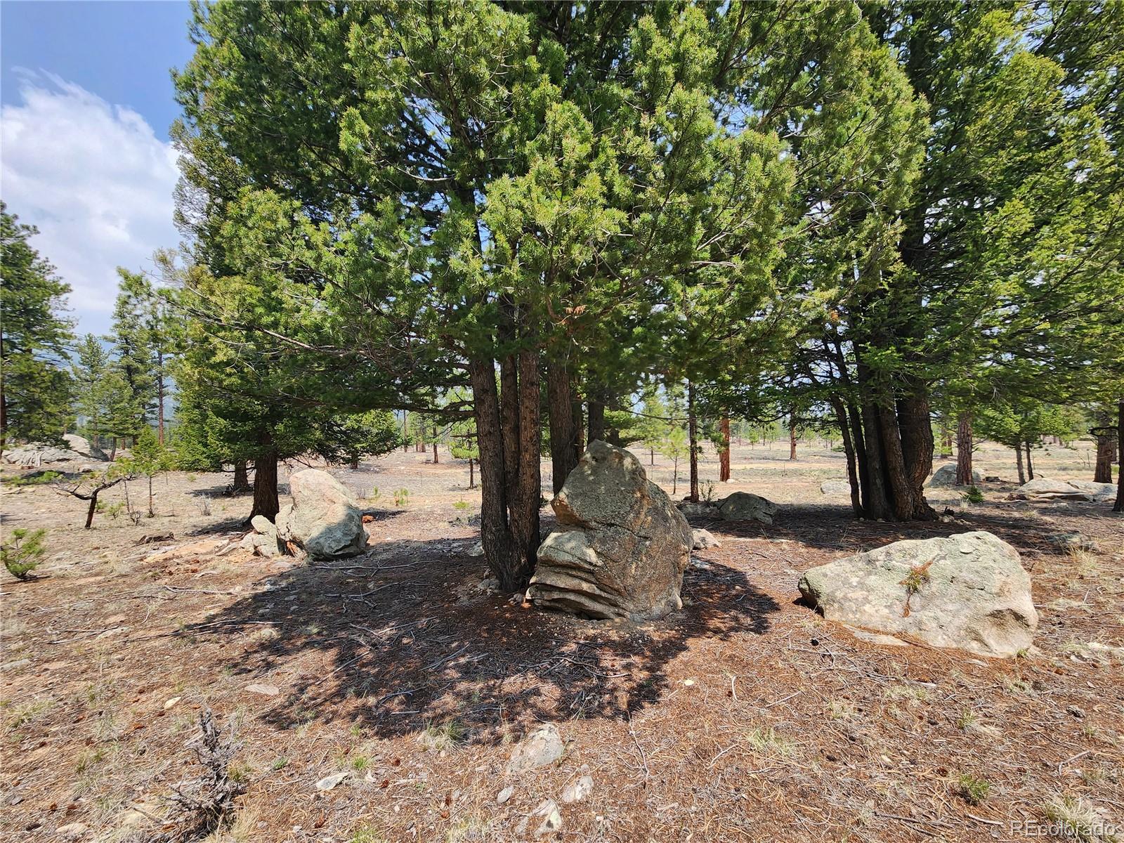 30634 Timberline, Buena Vista, CO 81211, ,Land,For Sale,Timberline,REC5393458