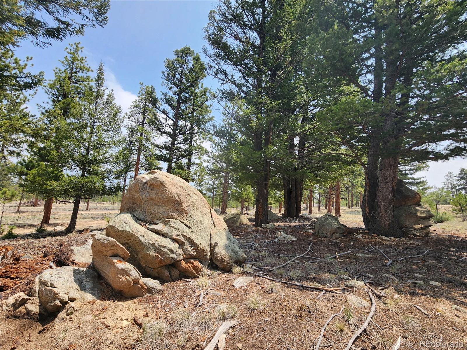 30634 Timberline, Buena Vista, CO 81211, ,Land,For Sale,Timberline,REC5393458