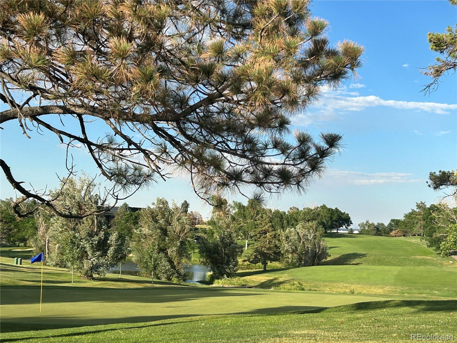 10111 Inverness Main Street #223, Englewood, CO 80112, 3 Bedrooms Bedrooms, ,3 BathroomsBathrooms,Residential,For Sale,Vallagio at Inverness,Inverness Main,REC6431308