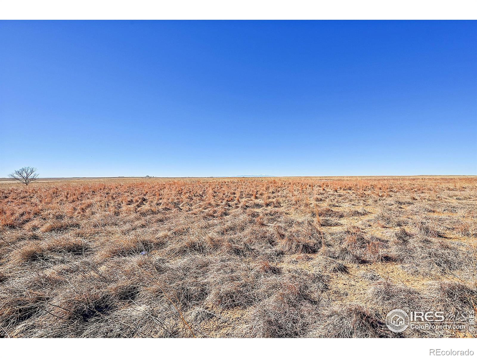 17251 County Road 2, Rush, CO 80833, 4 Bedrooms Bedrooms, ,2 BathroomsBathrooms,Residential,For Sale,County Road 2,RECIR1012539