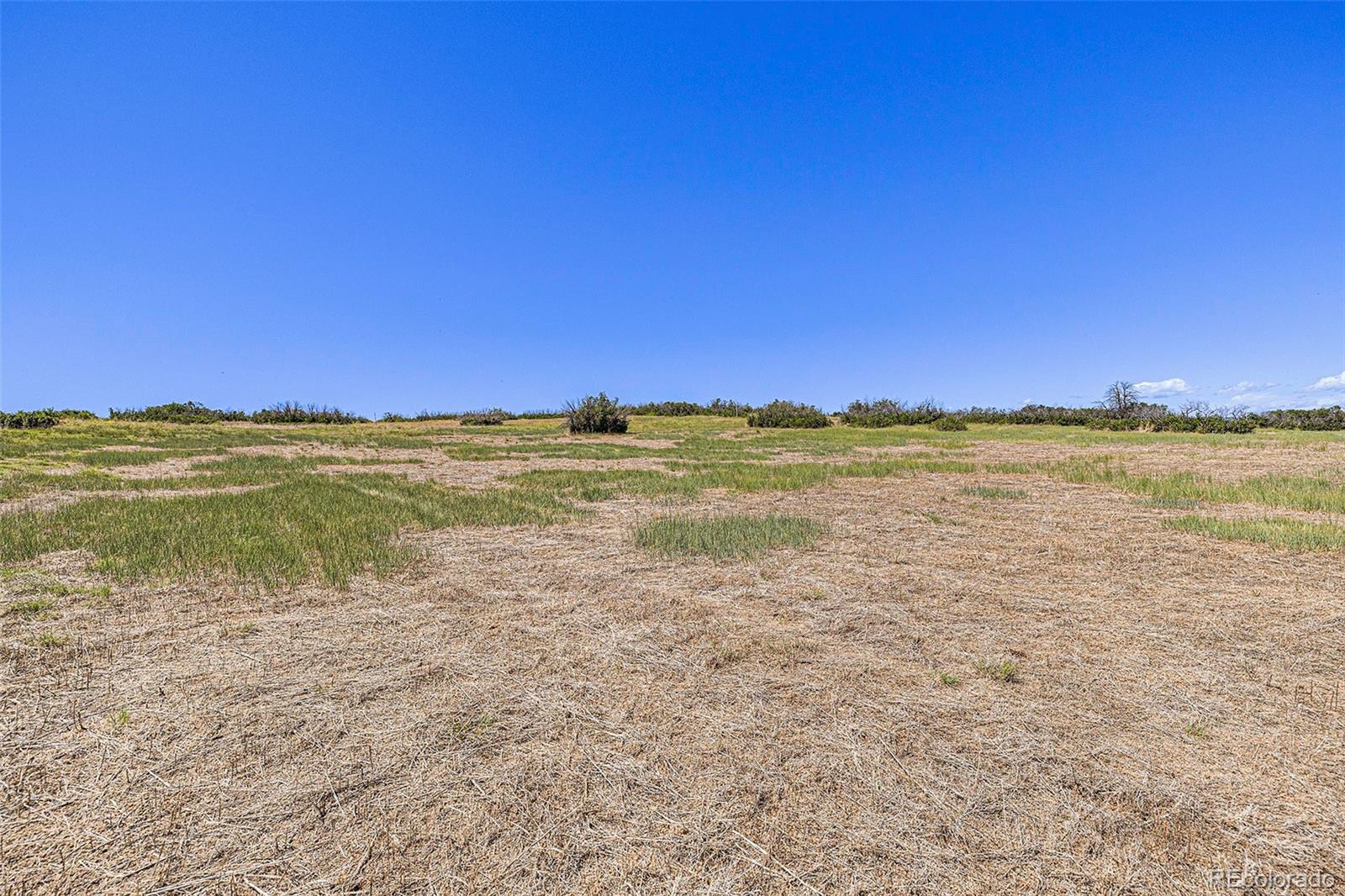4194 Sanctuary Way, Sedalia, CO 80135, ,Land,For Sale,Sanctuary,REC4419660