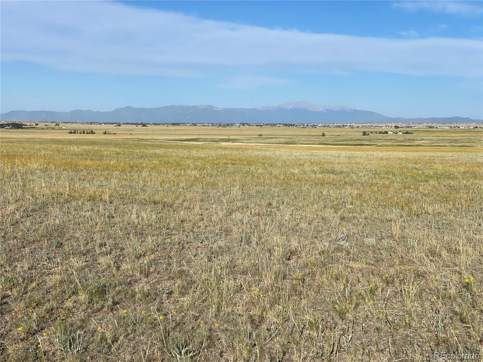 Carpenter Road, Peyton, CO 80831, ,Land,For Sale,Carpenter,REC7098073