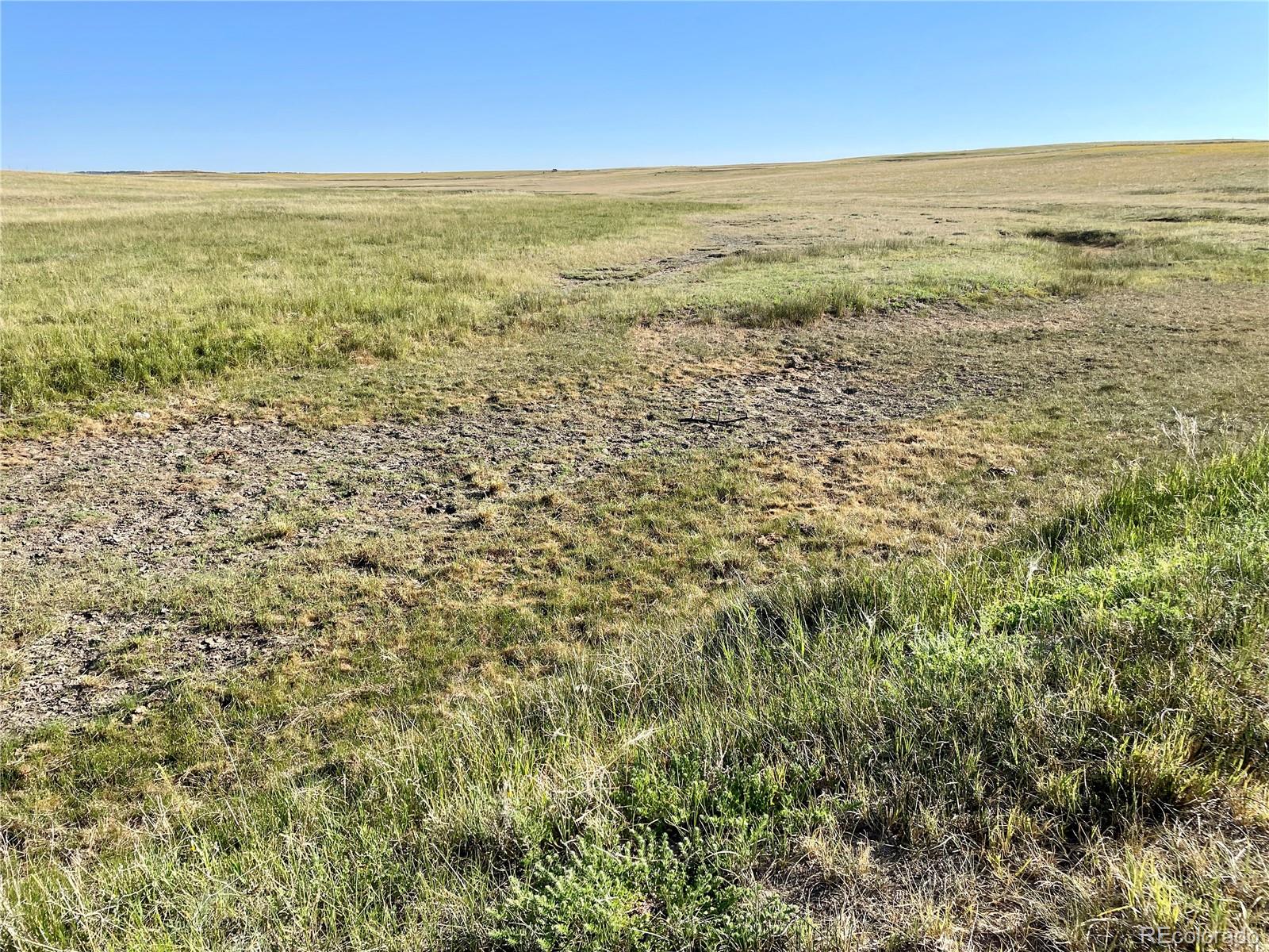 Carpenter Road, Peyton, CO 80831, ,Land,For Sale,Carpenter,REC7098073