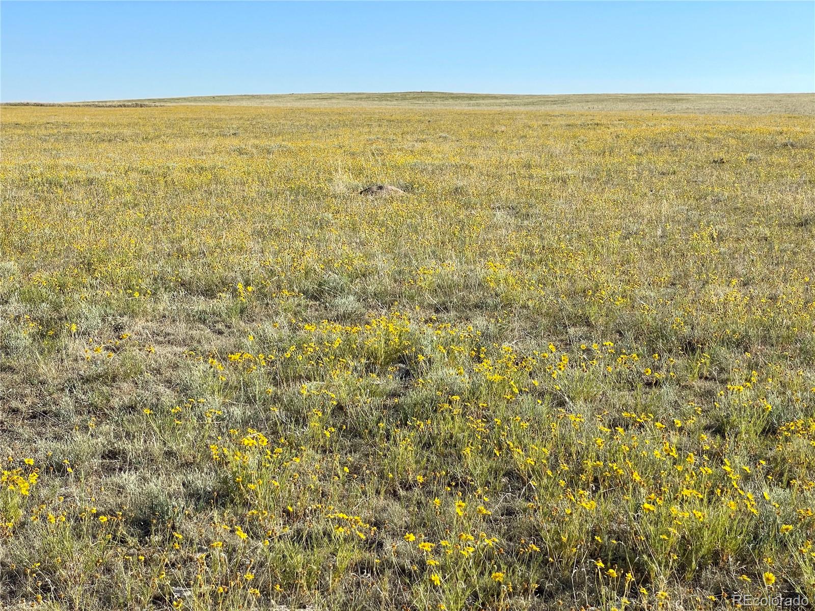 Carpenter Road, Peyton, CO 80831, ,Land,For Sale,Carpenter,REC7098073
