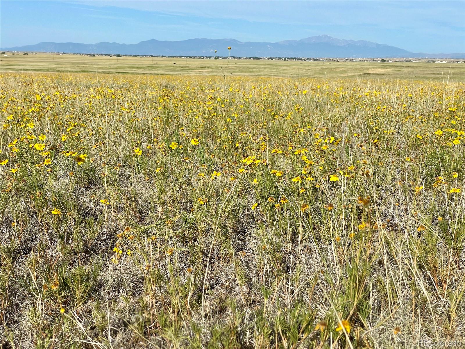 Carpenter Road, Peyton, CO 80831, ,Land,For Sale,Carpenter,REC7098073