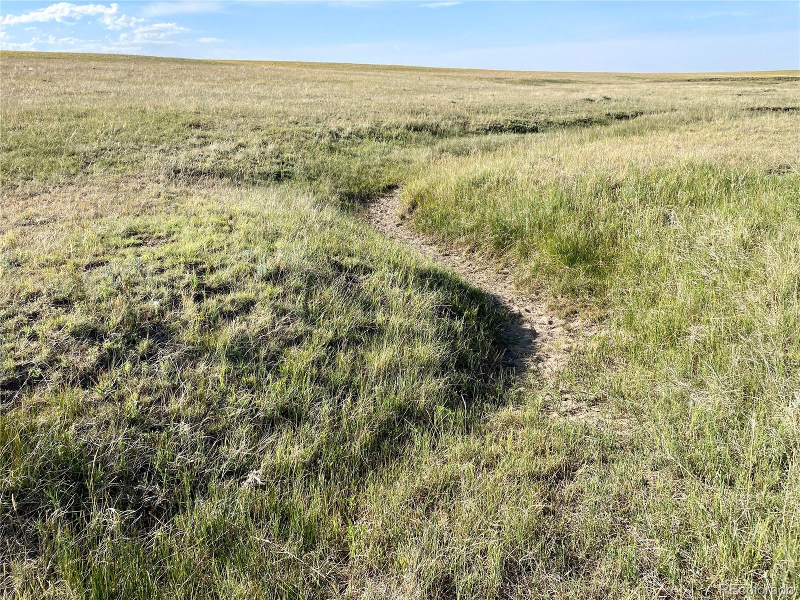 Carpenter Road, Peyton, CO 80831, ,Land,For Sale,Carpenter,REC7098073