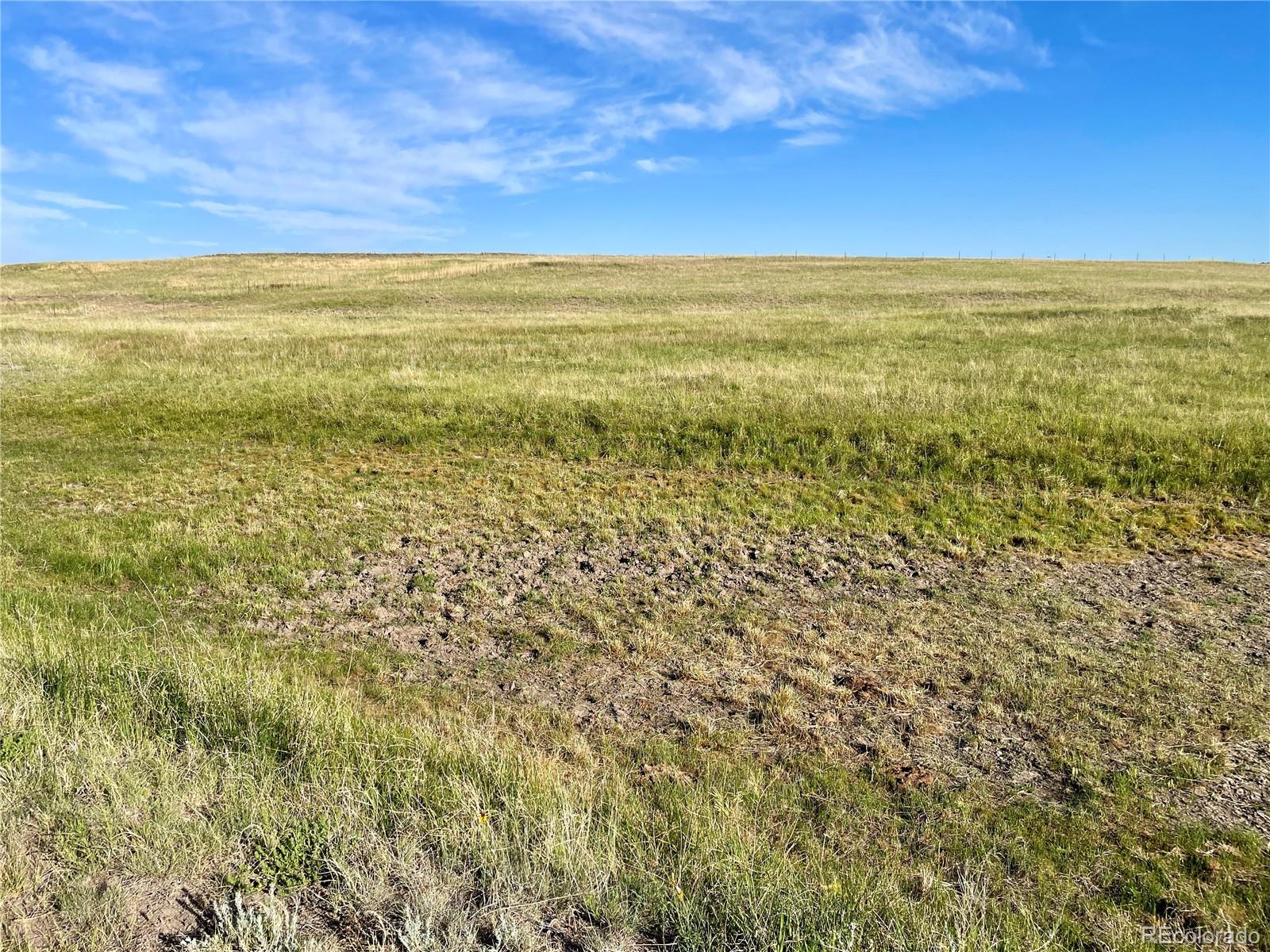 Carpenter Road, Peyton, CO 80831, ,Land,For Sale,Carpenter,REC7098073
