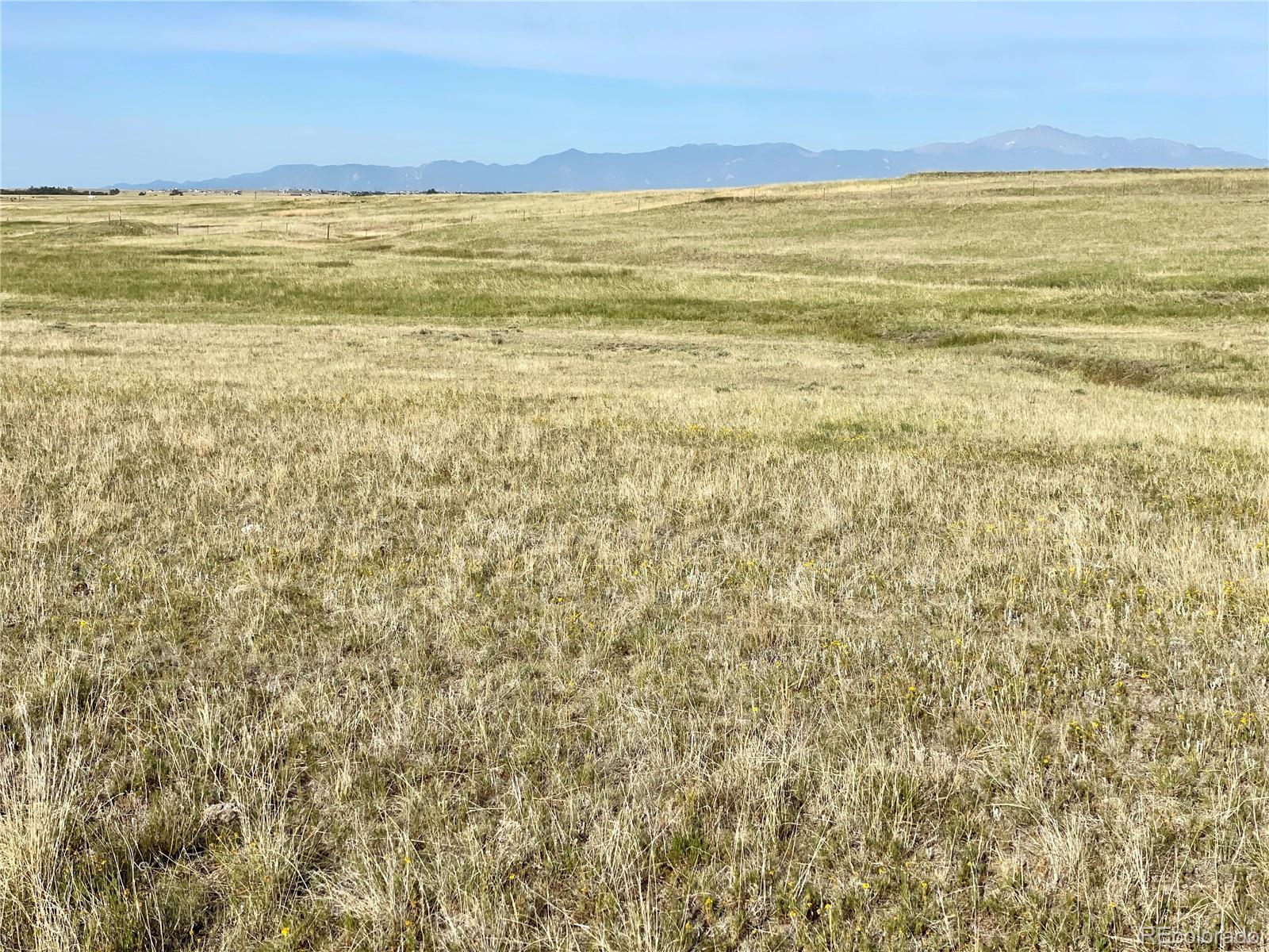 Carpenter Road, Peyton, CO 80831, ,Land,For Sale,Carpenter,REC7098073