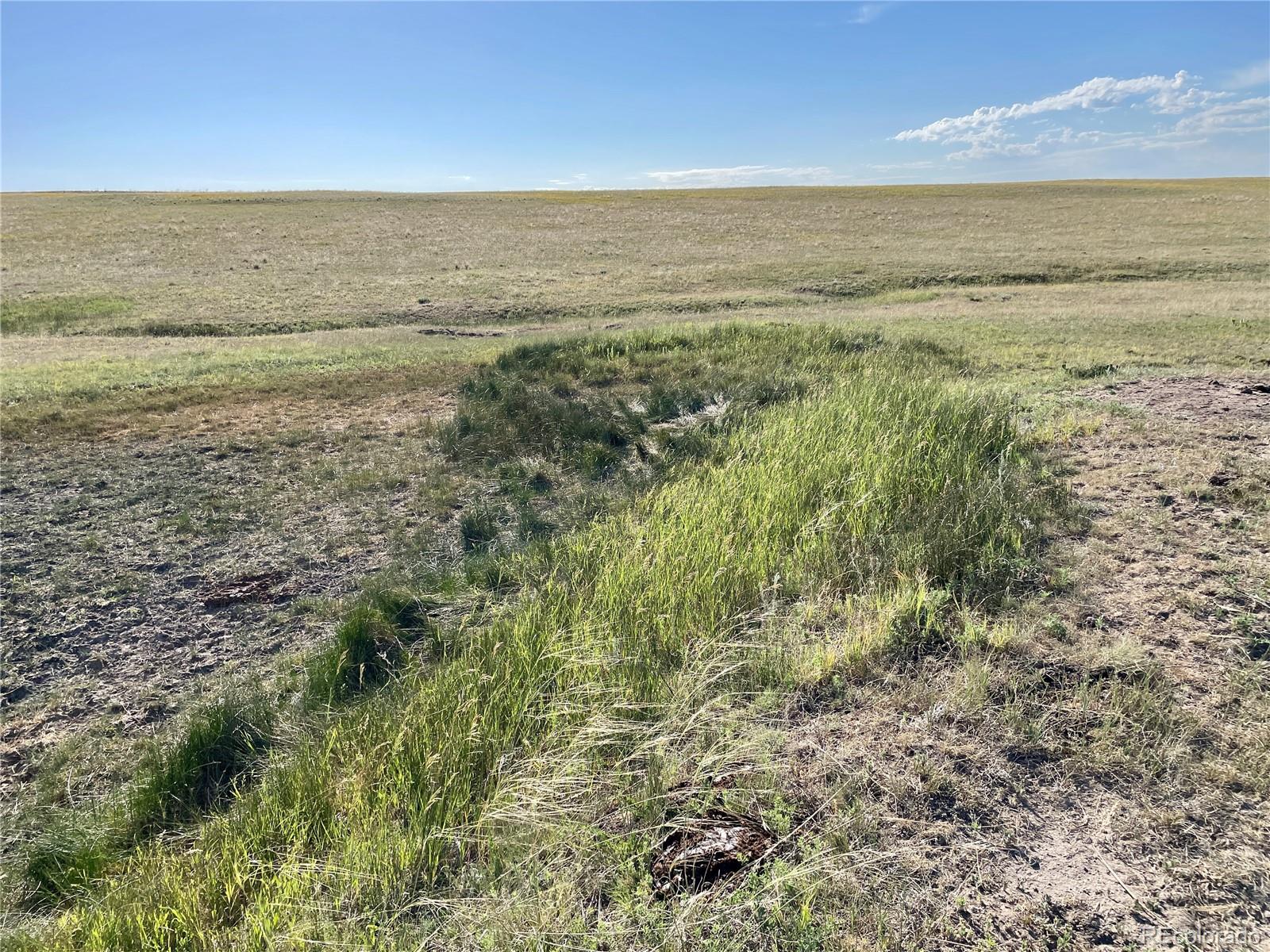 Carpenter Road, Peyton, CO 80831, ,Land,For Sale,Carpenter,REC7098073