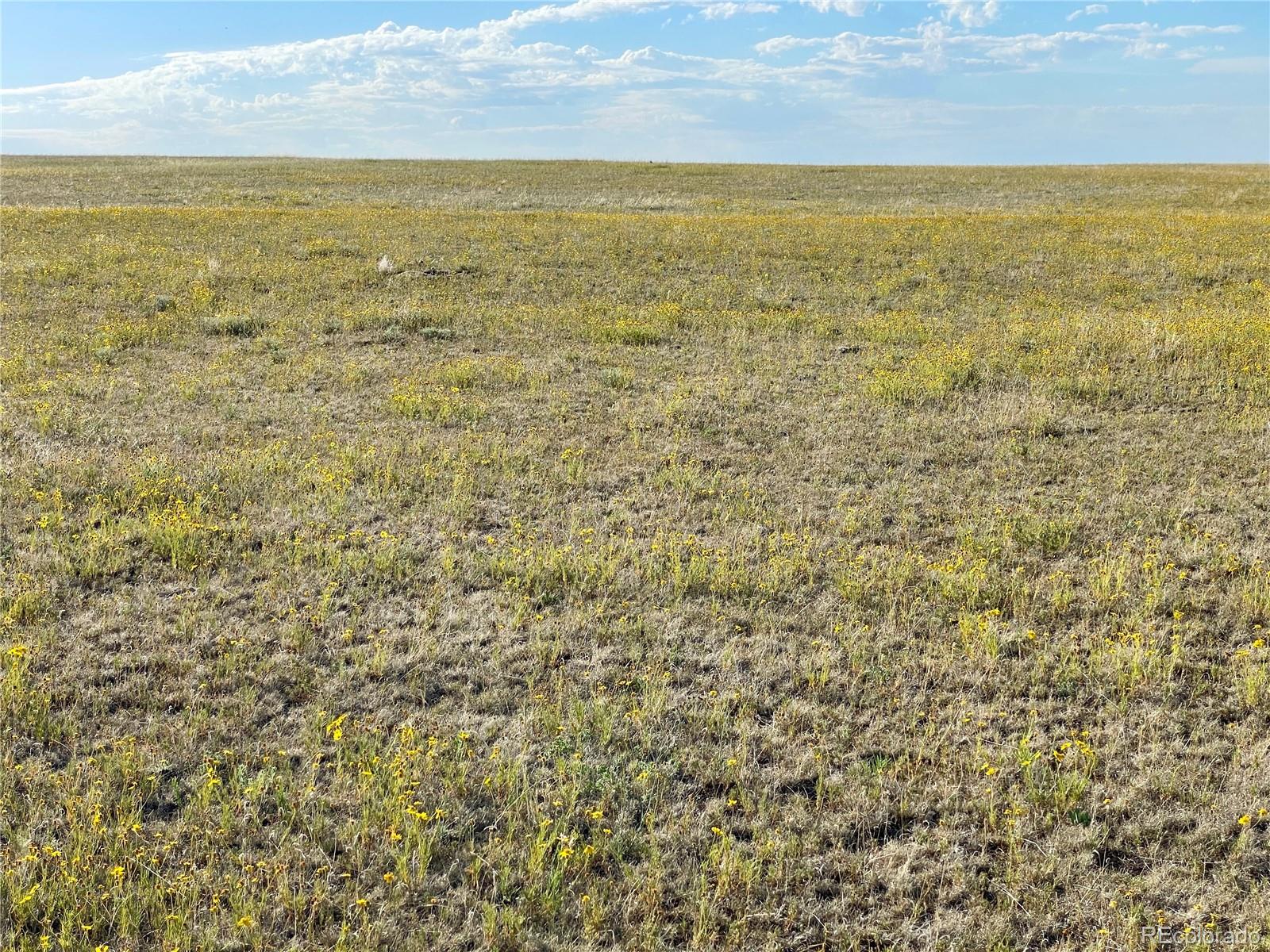 Carpenter Road, Peyton, CO 80831, ,Land,For Sale,Carpenter,REC7098073