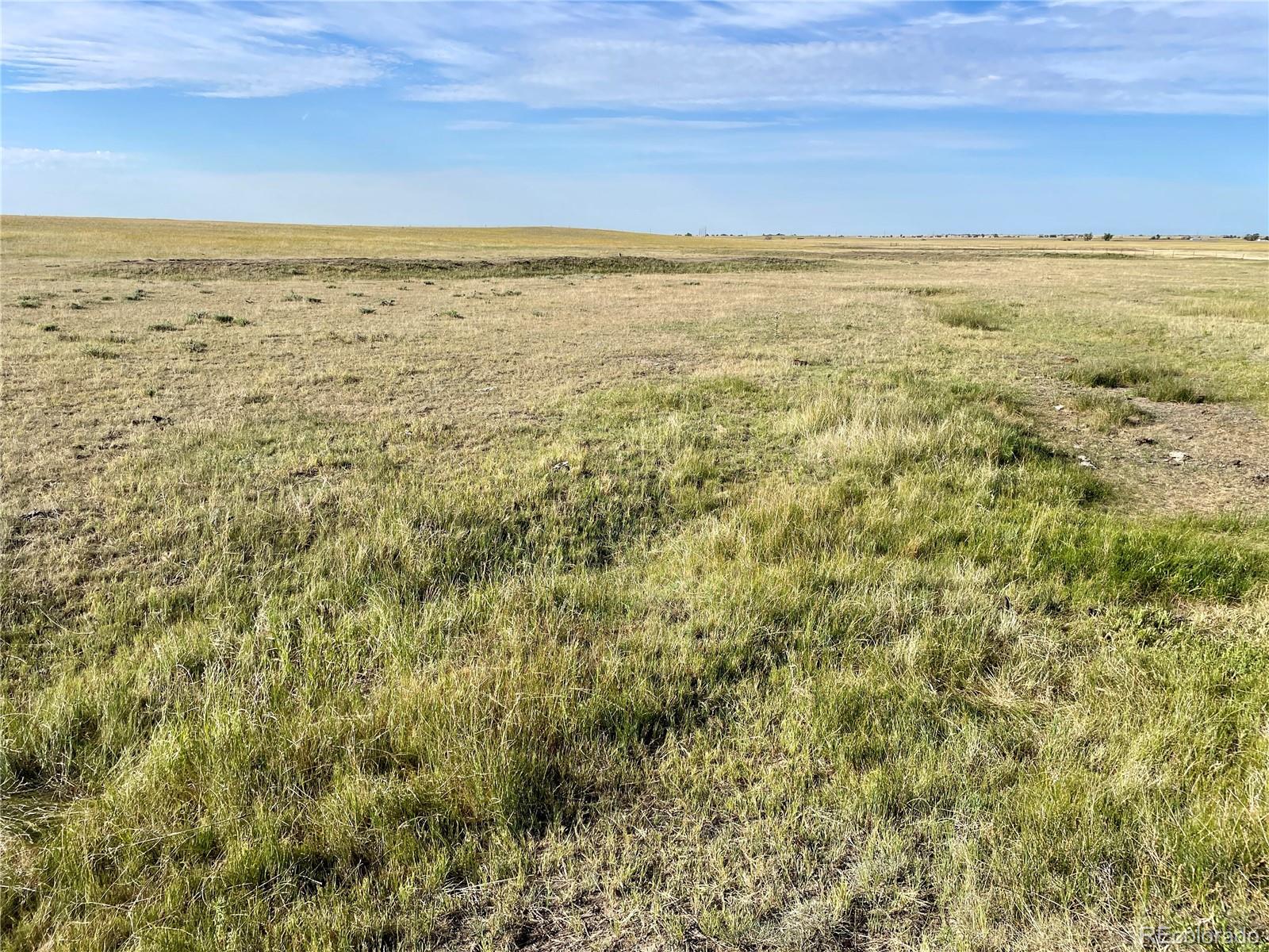 Carpenter Road, Peyton, CO 80831, ,Land,For Sale,Carpenter,REC7098073