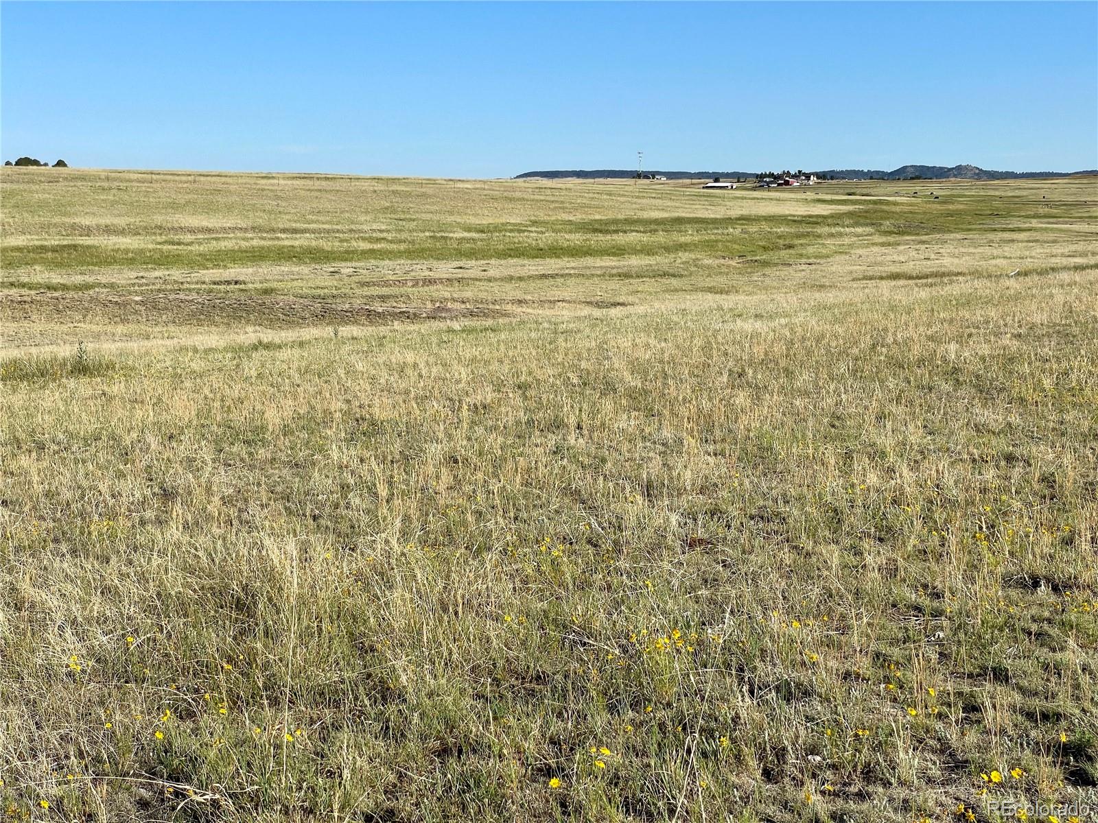 Carpenter Road, Peyton, CO 80831, ,Land,For Sale,Carpenter,REC7098073