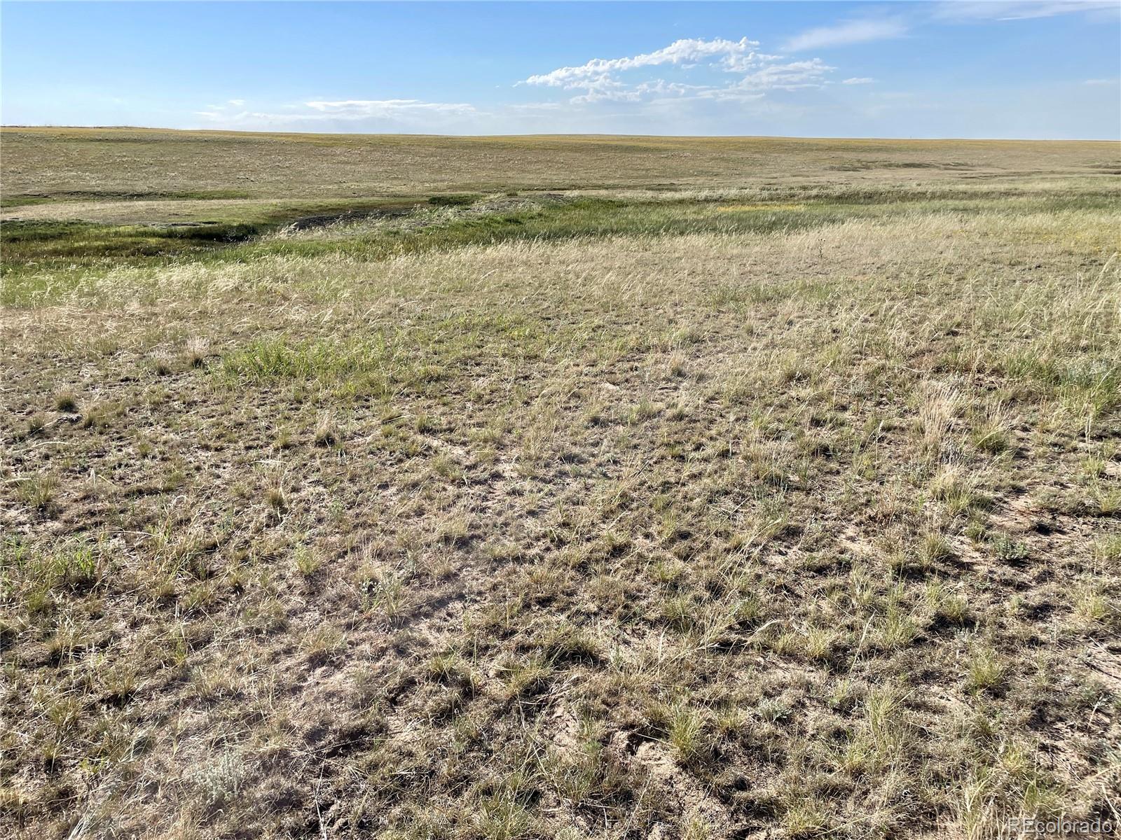 Carpenter Road, Peyton, CO 80831, ,Land,For Sale,Carpenter,REC7098073