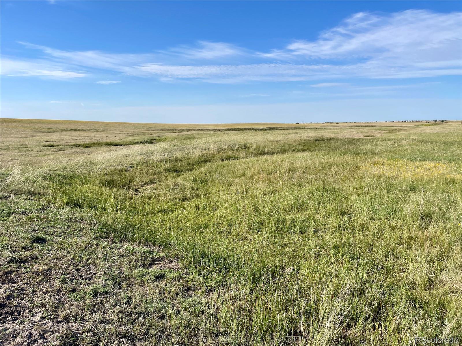 Carpenter Road, Peyton, CO 80831, ,Land,For Sale,Carpenter,REC7098073