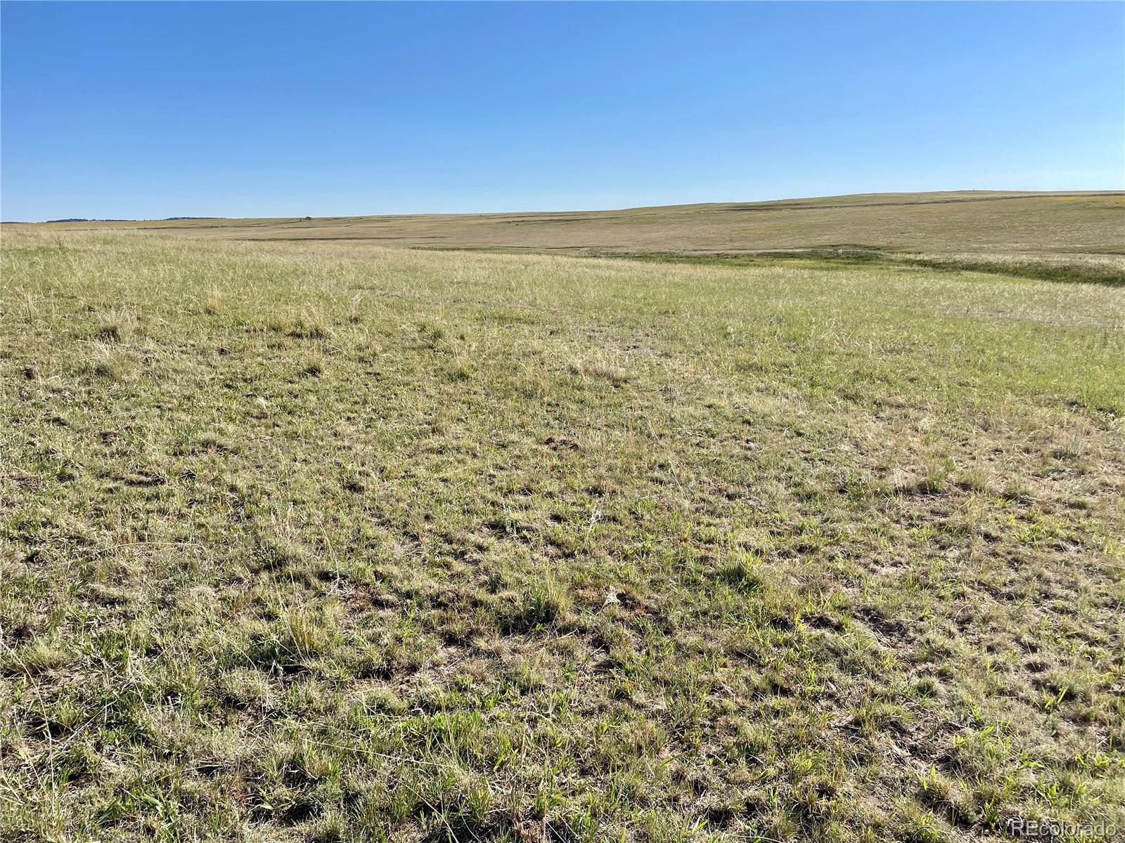 Carpenter Road, Peyton, CO 80831, ,Land,For Sale,Carpenter,REC7098073