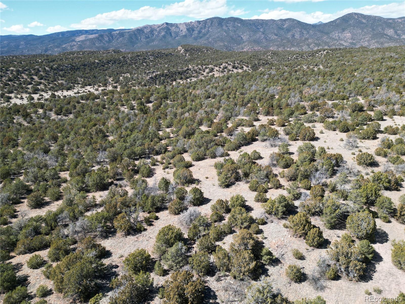 LOT 54 RIMROCK Terrace, Penrose, CO 81240, ,Land,For Sale,RIMROCK,REC2513347