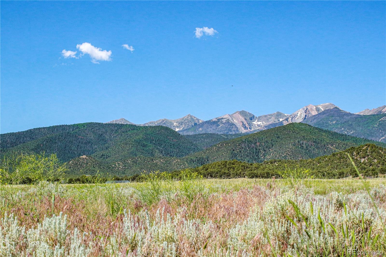 Restricted Address, Coaldale, CO 81222, ,Land,For Sale,US-50,REC4993611