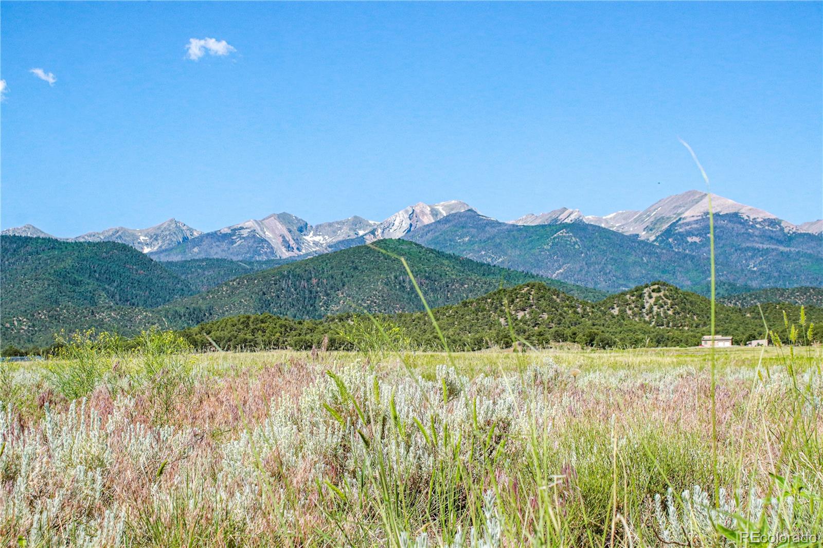 Restricted Address, Coaldale, CO 81222, ,Land,For Sale,US-50,REC4993611