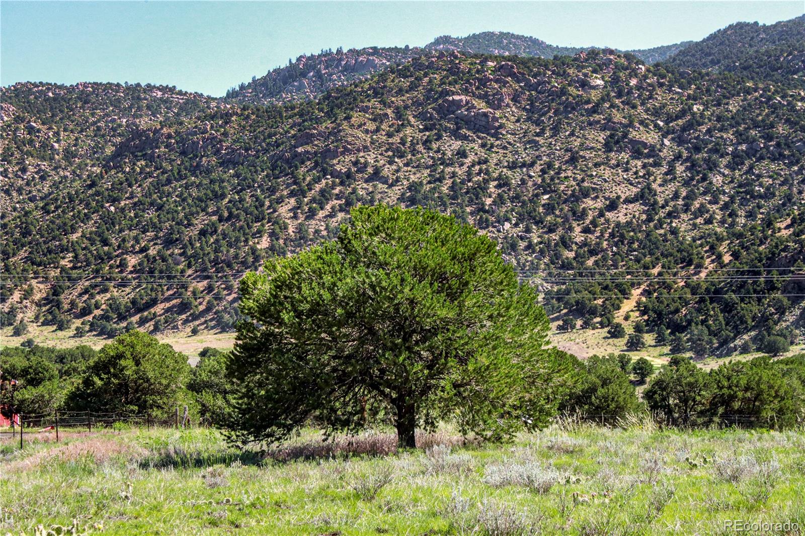 Restricted Address, Coaldale, CO 81222, ,Land,For Sale,US-50,REC4993611