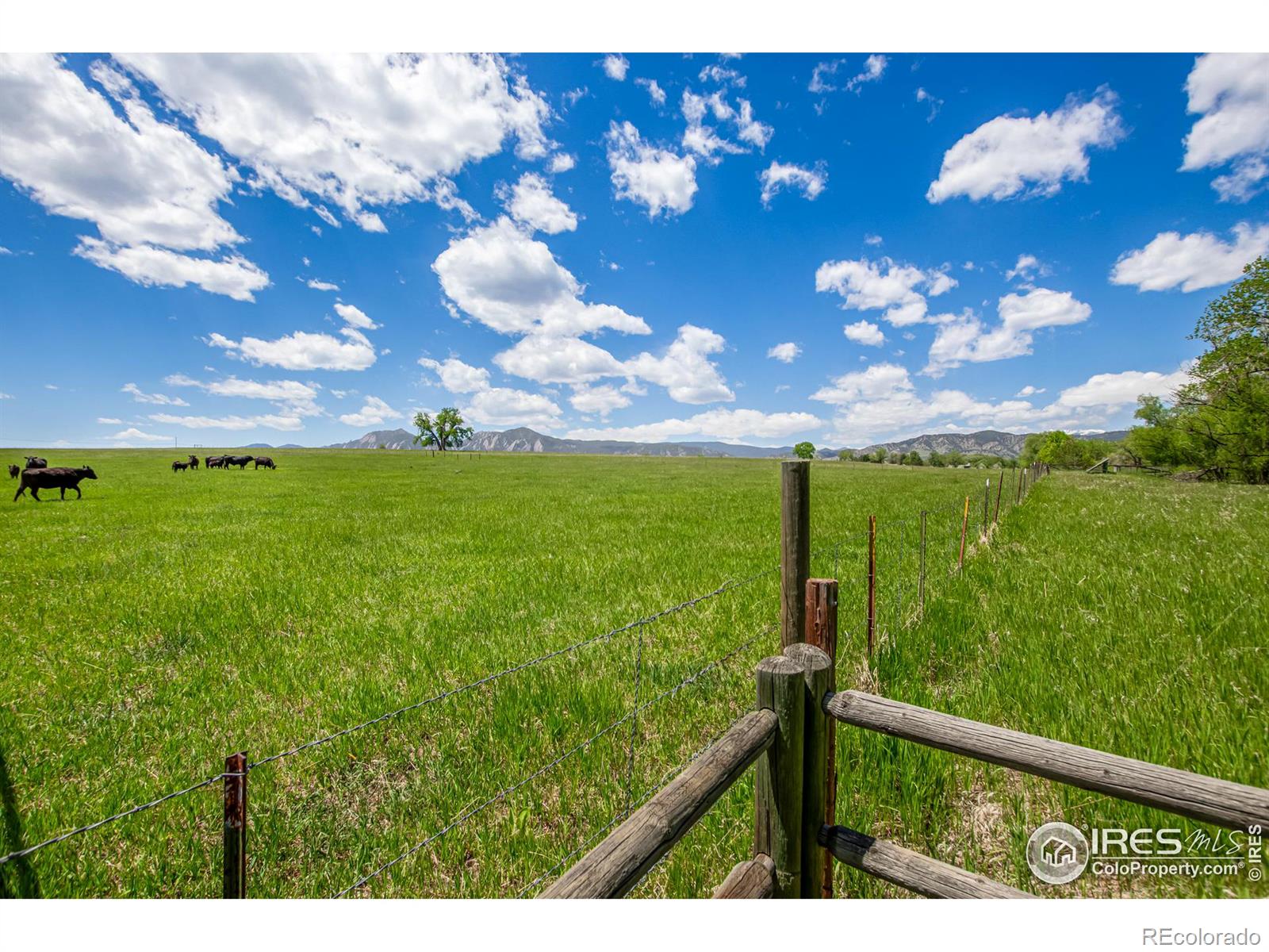 3833 57th Street, Boulder, CO 80301, 4 Bedrooms Bedrooms, ,3 BathroomsBathrooms,Residential,For Sale,57th,RECIR1013400