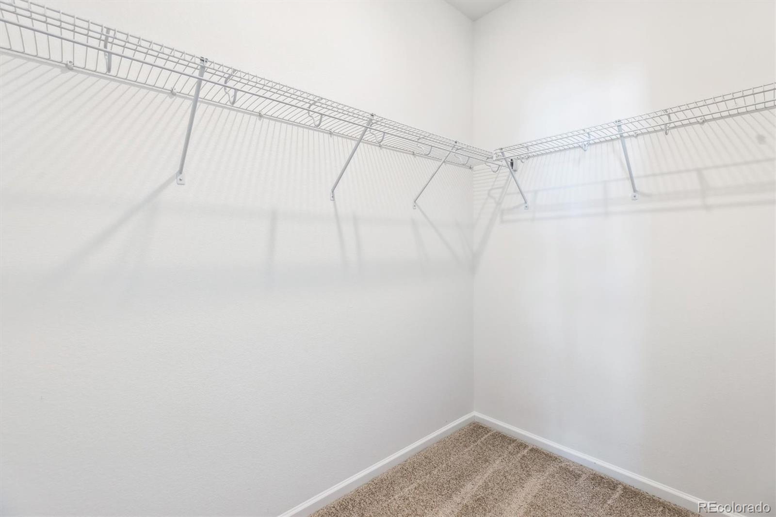 8827 Snake River Street, Littleton, CO 80125, 3 Bedrooms Bedrooms, ,3 BathroomsBathrooms,Residential,For Sale,Snake River,REC2458156