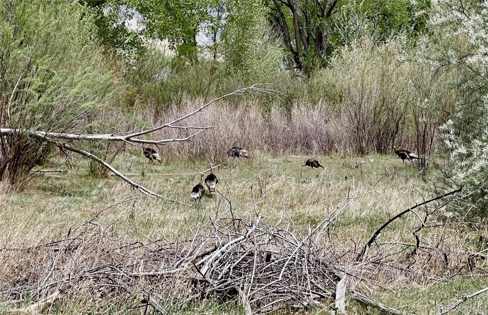 1797 County Road 346, Rifle, CO 81650, ,Land,For Sale,County Road 346,REC7320826