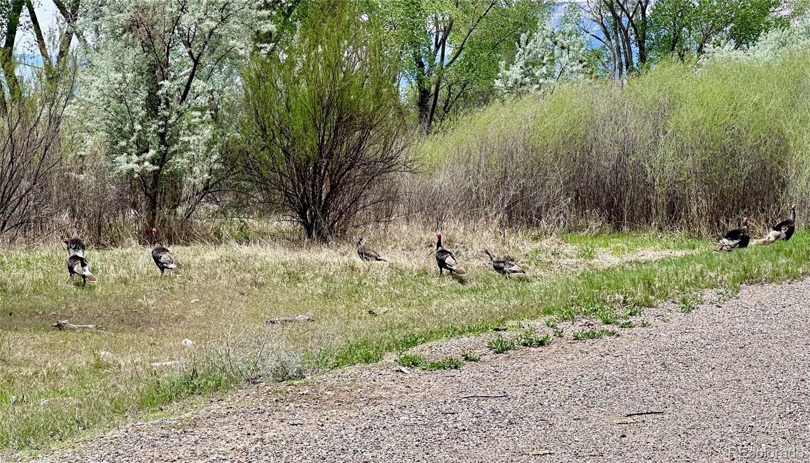 1797 County Road 346, Rifle, CO 81650, ,Land,For Sale,County Road 346,REC7320826