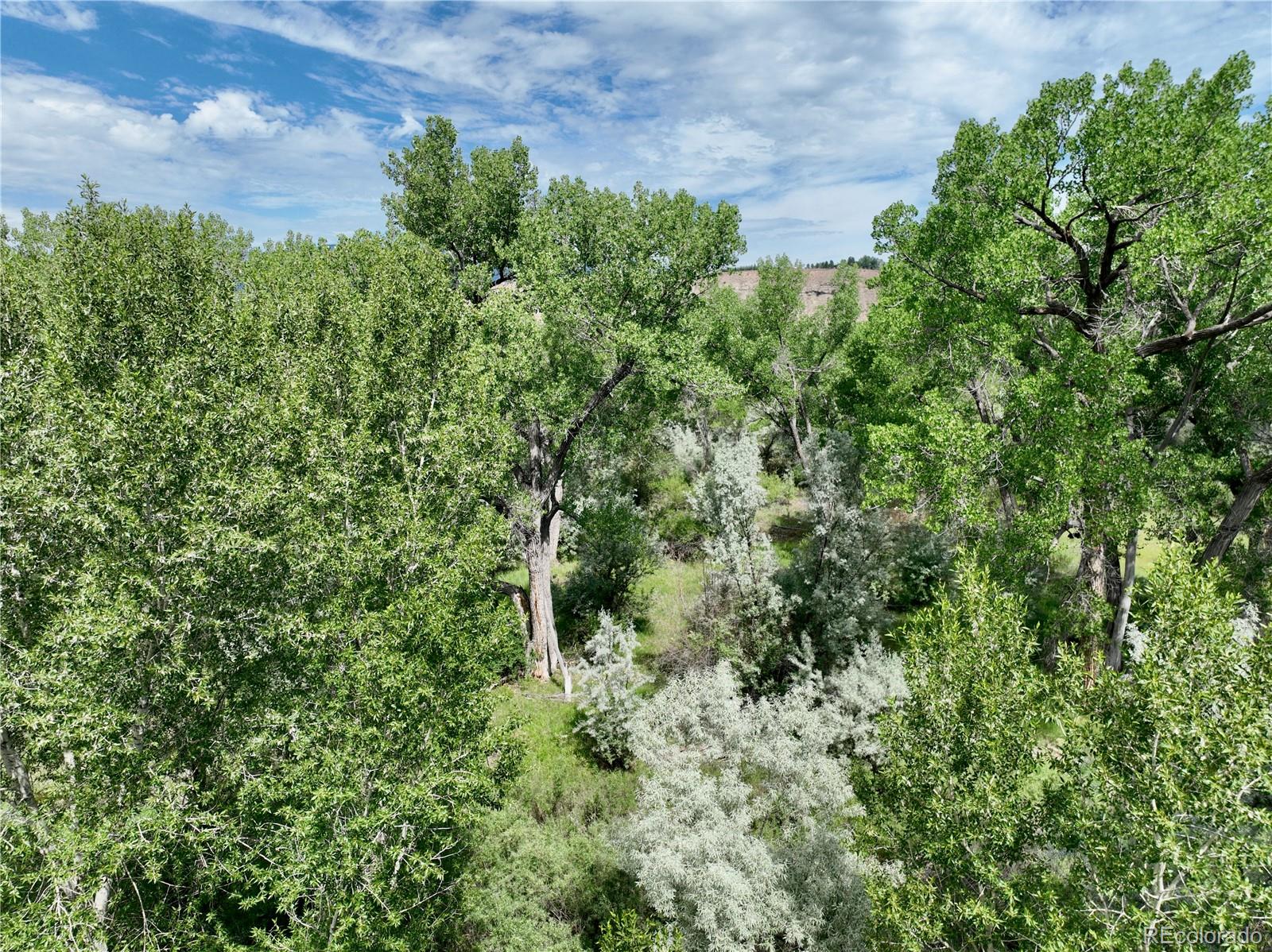 1797 County Road 346, Rifle, CO 81650, ,Land,For Sale,County Road 346,REC7320826