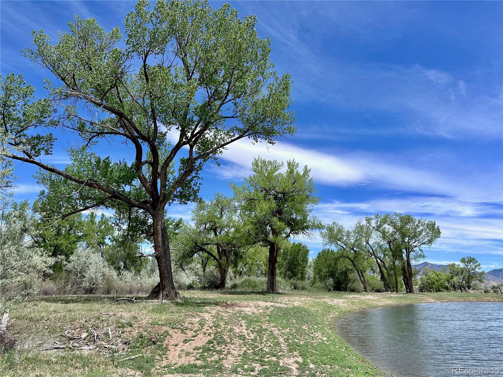 1797 County Road 346, Rifle, CO 81650, ,Land,For Sale,County Road 346,REC7320826