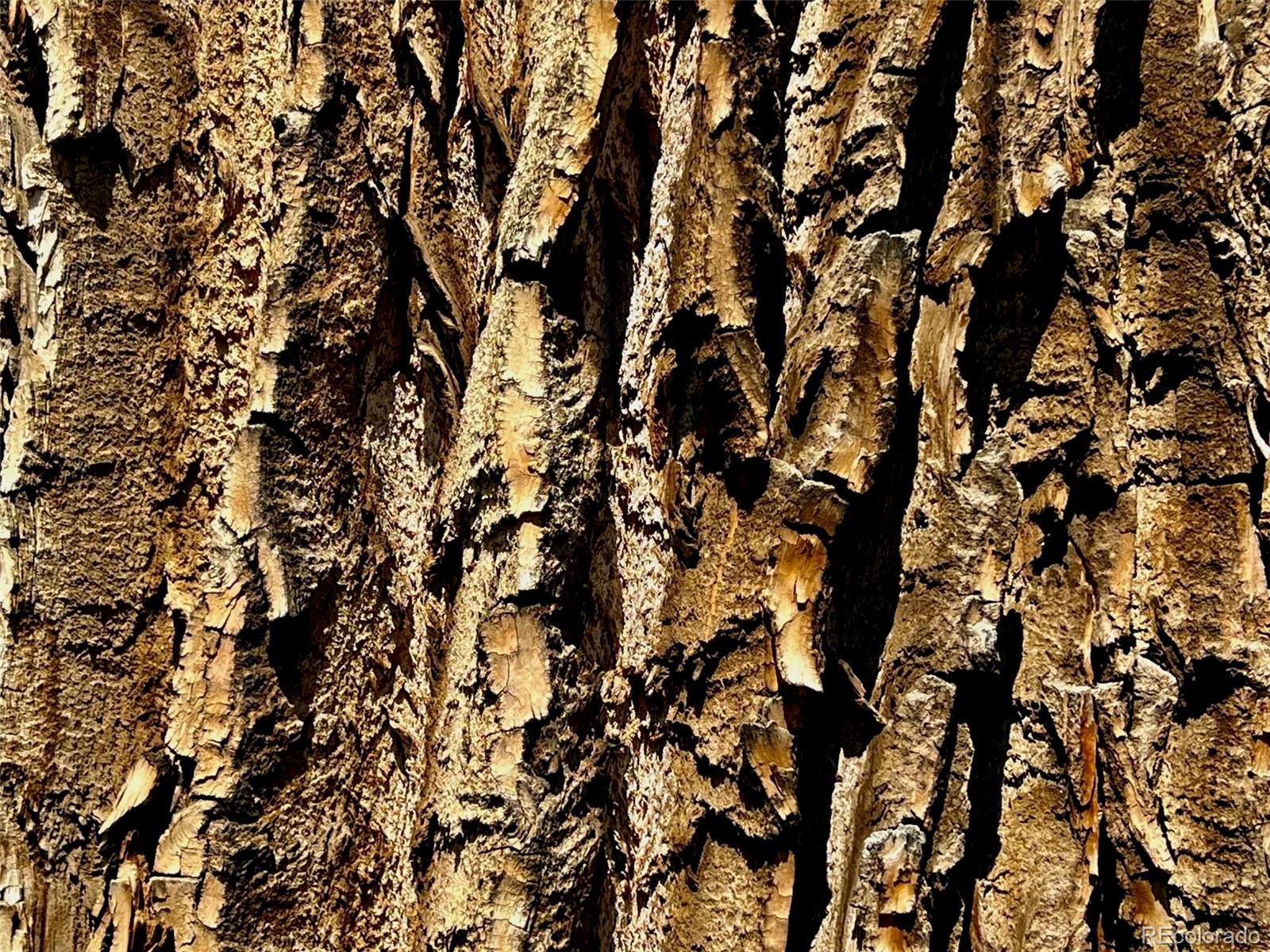 1797 County Road 346, Rifle, CO 81650, ,Land,For Sale,County Road 346,REC7320826