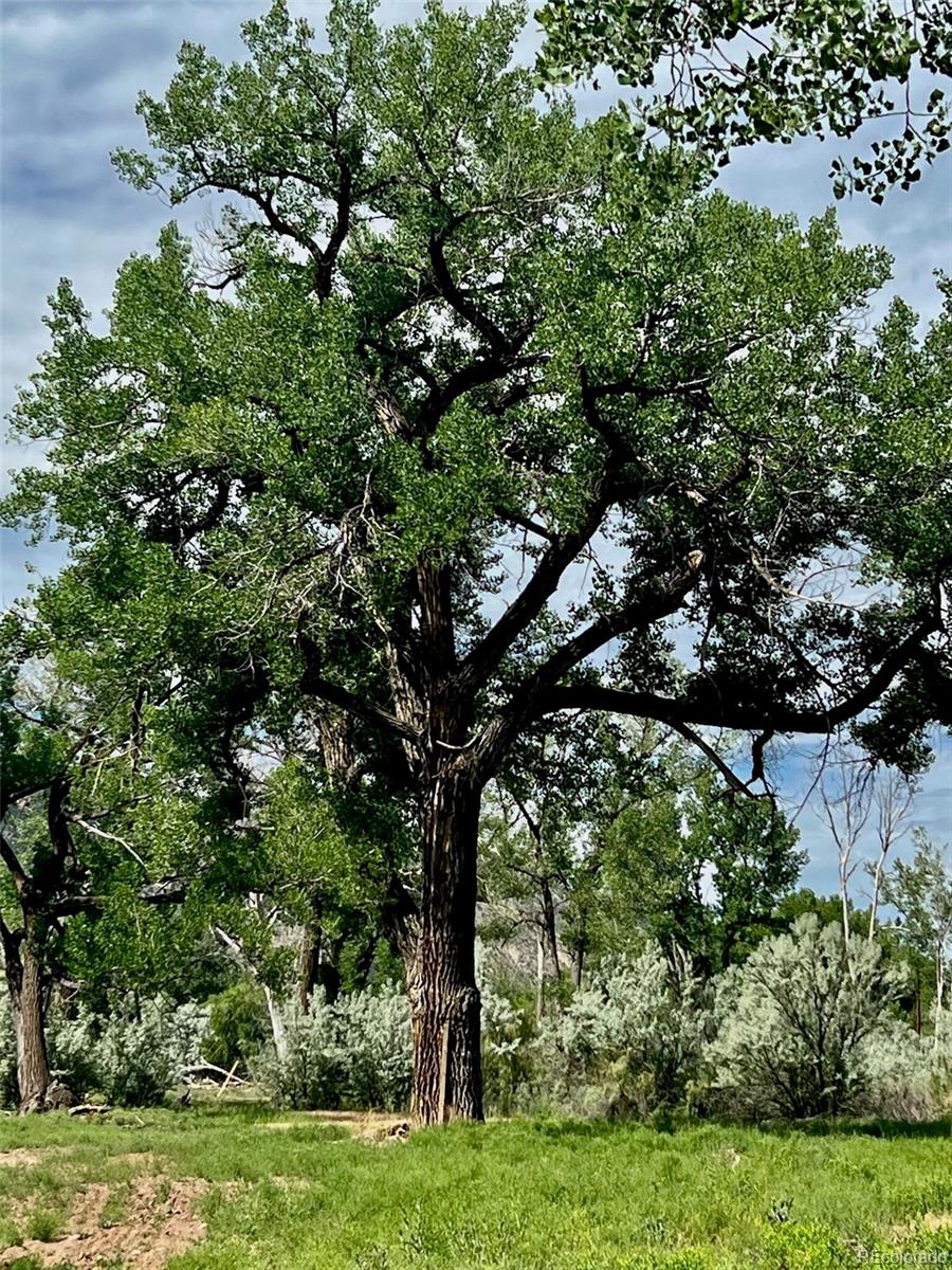 1797 County Road 346, Rifle, CO 81650, ,Land,For Sale,County Road 346,REC7320826