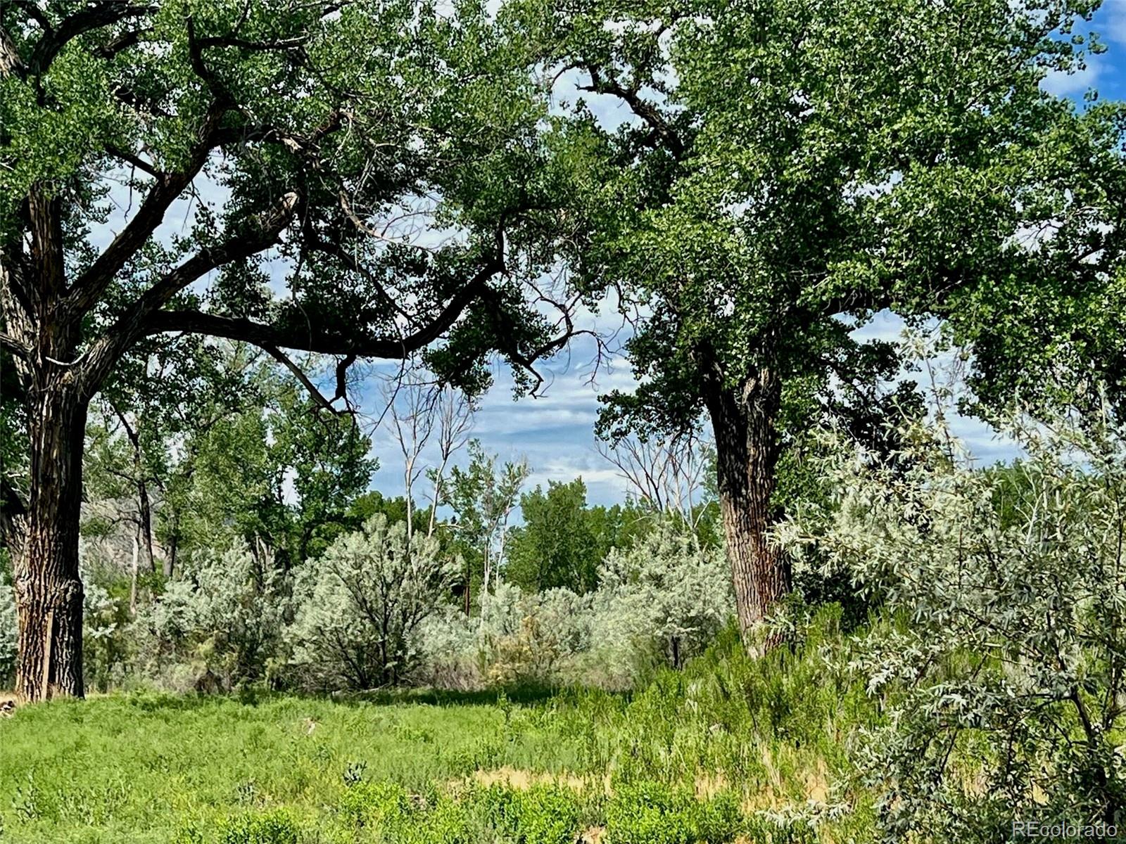 1797 County Road 346, Rifle, CO 81650, ,Land,For Sale,County Road 346,REC7320826