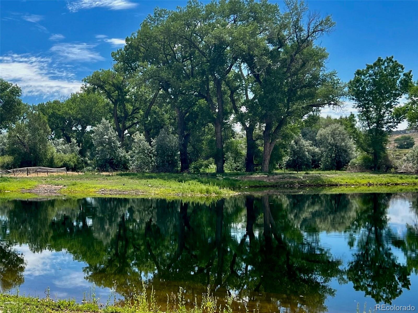 1797 County Road 346, Rifle, CO 81650, ,Land,For Sale,County Road 346,REC7320826