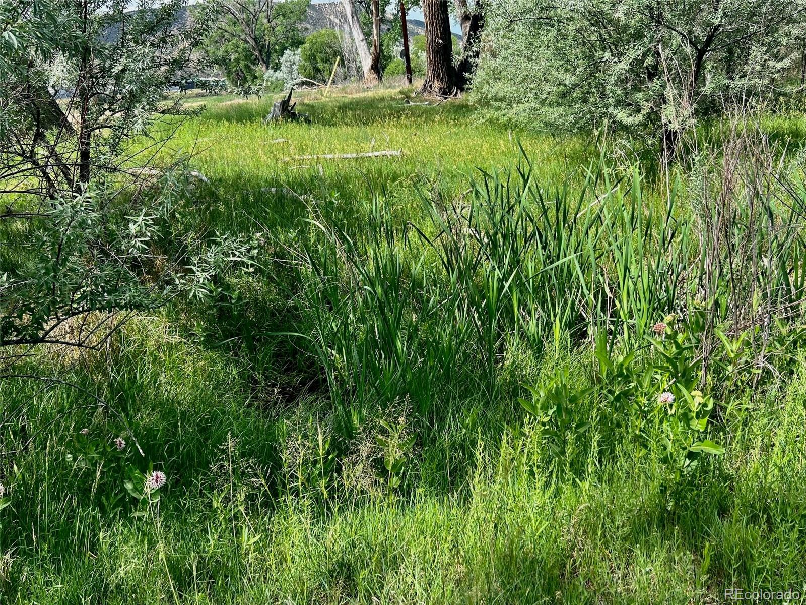 1797 County Road 346, Rifle, CO 81650, ,Land,For Sale,County Road 346,REC7320826