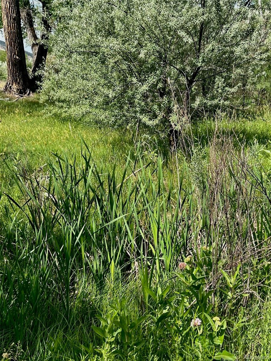 1797 County Road 346, Rifle, CO 81650, ,Land,For Sale,County Road 346,REC7320826