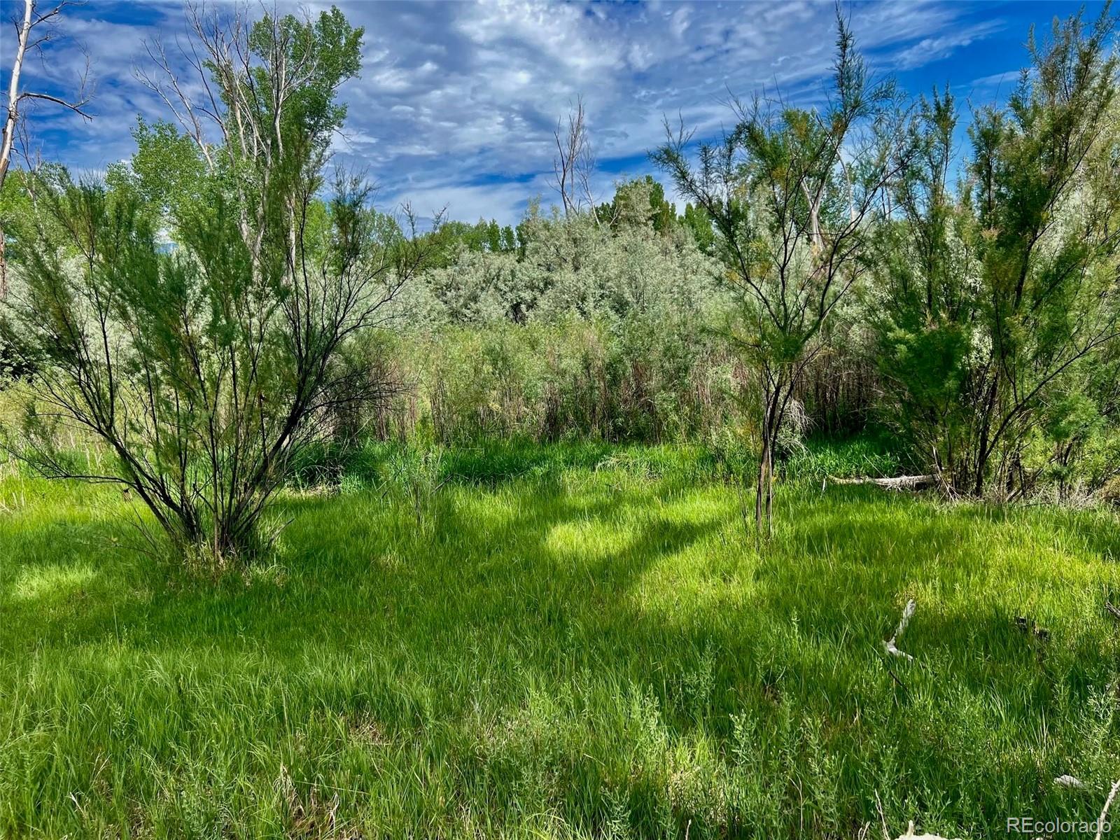 1797 County Road 346, Rifle, CO 81650, ,Land,For Sale,County Road 346,REC7320826