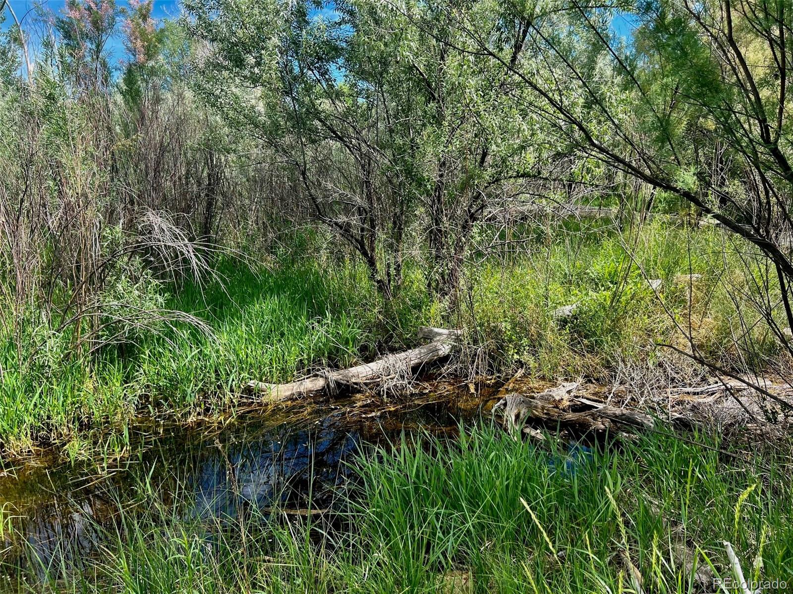 1797 County Road 346, Rifle, CO 81650, ,Land,For Sale,County Road 346,REC7320826